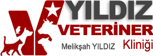 Melikşah YILDIZ,